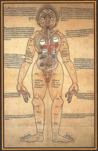 Dipinto nepalese del secolo XVIII raffigurante gli organi interni secondo l'Ayurveda