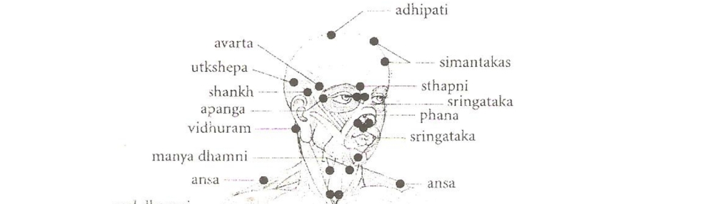 Ayurveda - marma della parte anteriore del corpo